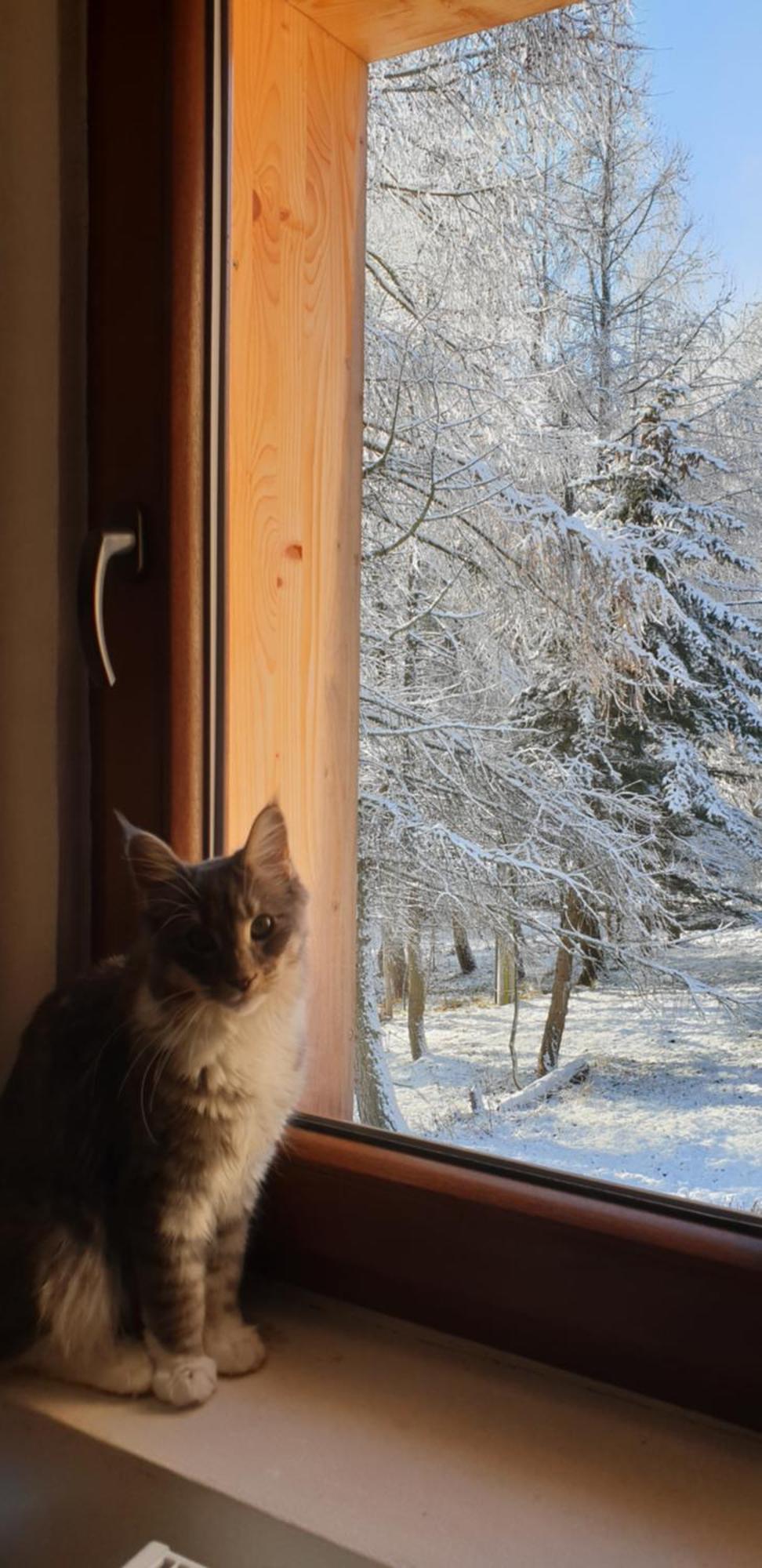 Five Maple Home For Families And Wild Nature Lovers Medenec Εξωτερικό φωτογραφία
